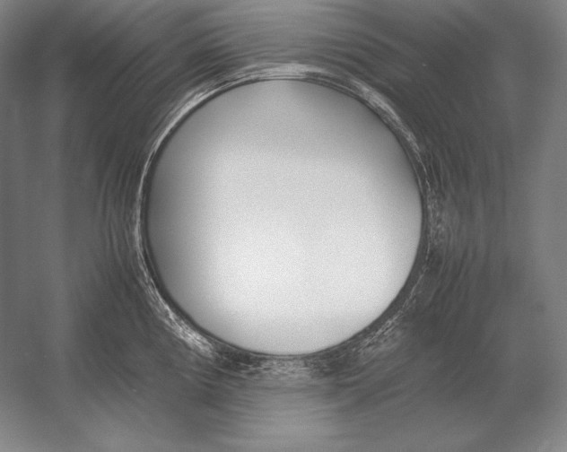 X0000054391194200508270026