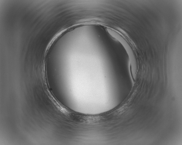 X0000054391196200508270026