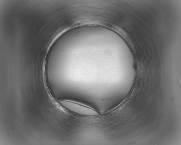 X0000054391198200508270025