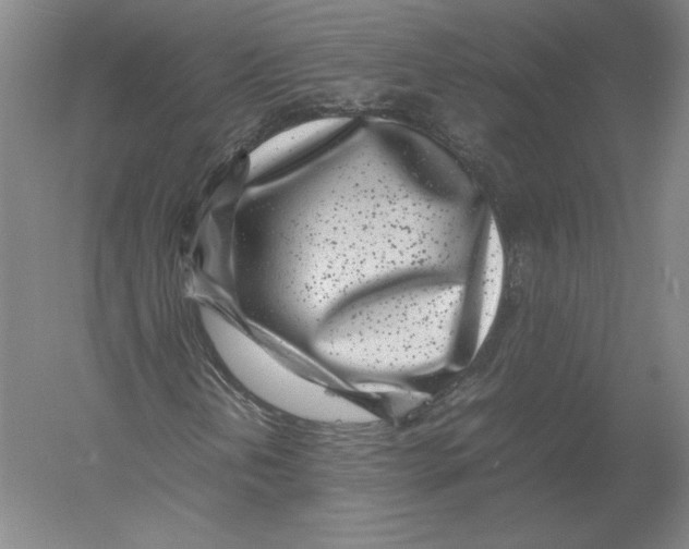 X0000054391202200508270025
