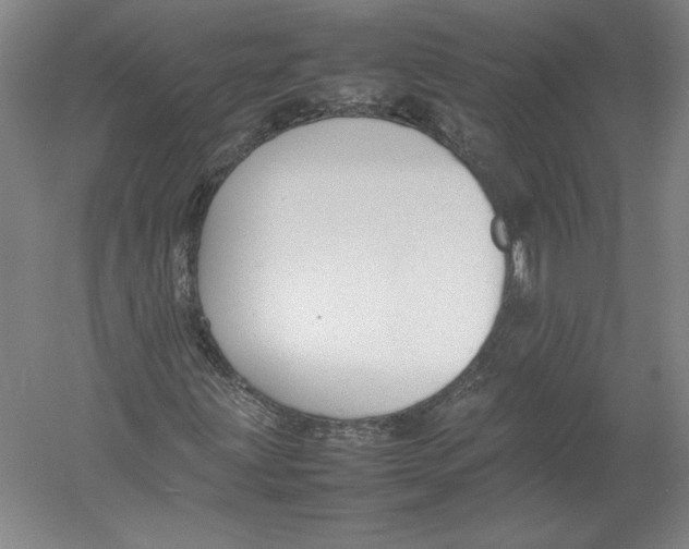 X0000054391203200508270025
