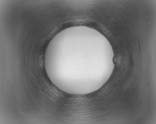 X0000054391204200508270025
