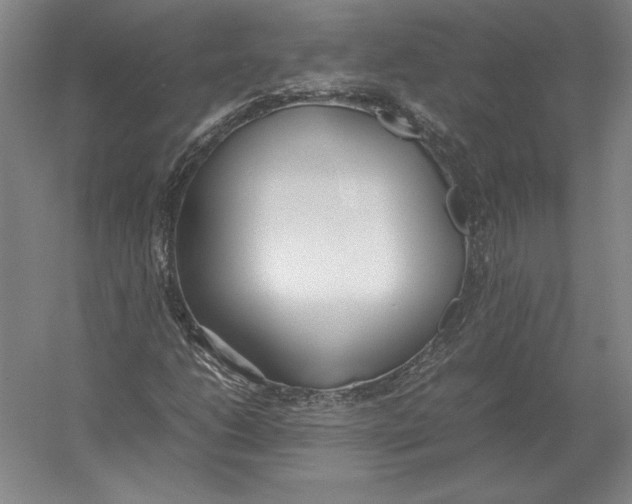 X0000054391206200508270025