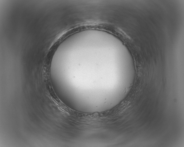 X0000054391208200508270025