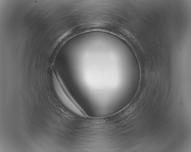 X0000054391210200508270025