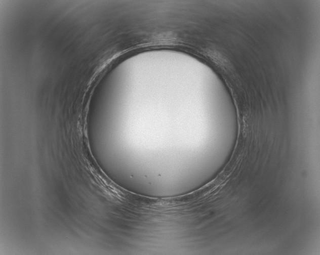 X0000054391212200508270025