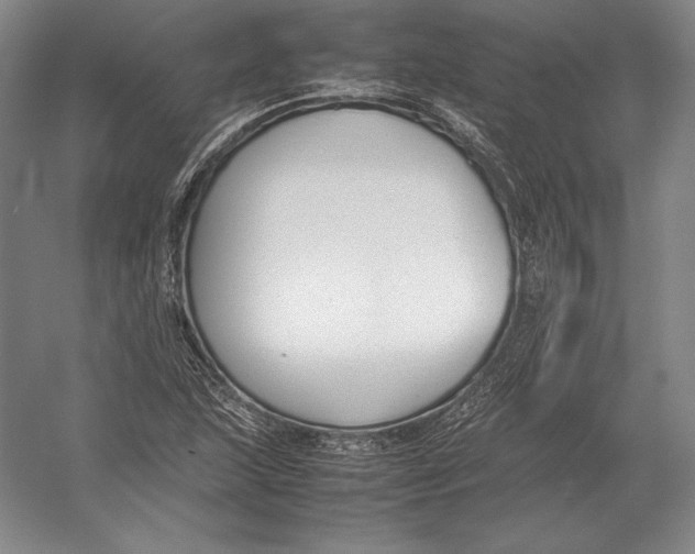 X0000054391215200508270025