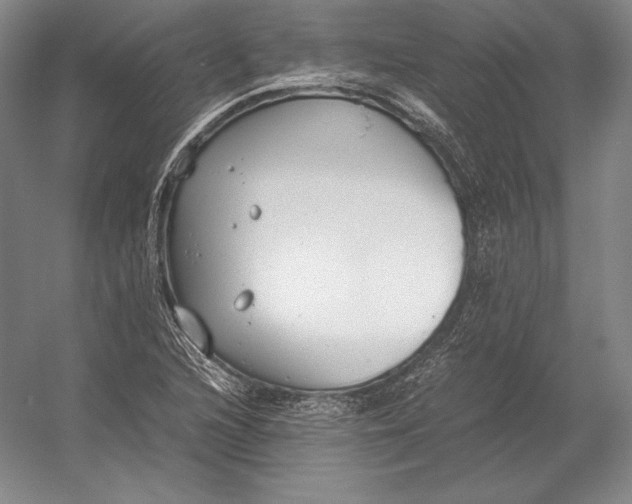 X0000054391216200508270025