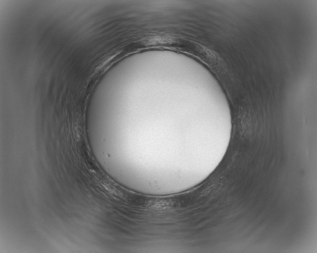 X0000054391217200508270025