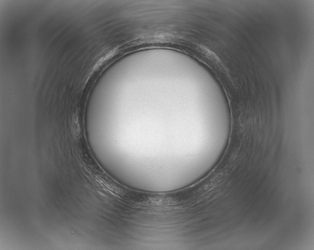 X0000054391218200508270025