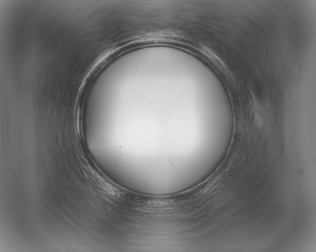 X0000054391224200508270025