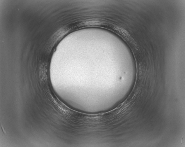 X0000054391225200508270025