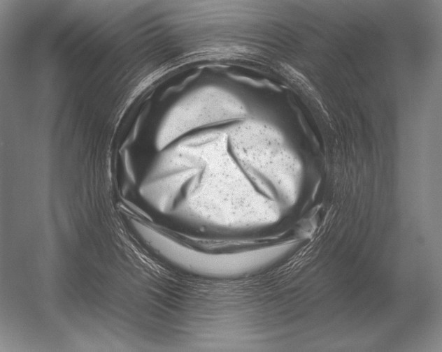X0000054391226200508270025
