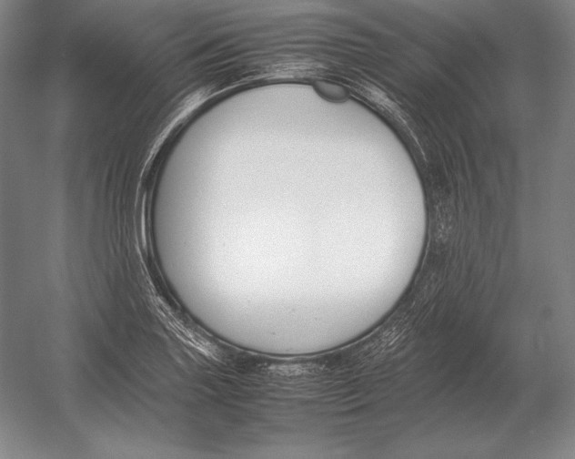X0000054391227200508270025