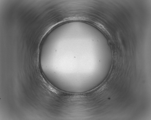 X0000054391228200508270025