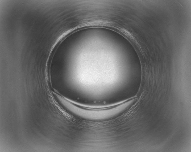 X0000054391230200508270025