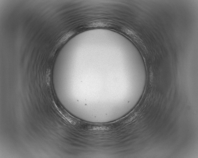 X0000054391233200508270025