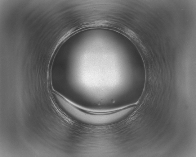 X0000054391234200508270025