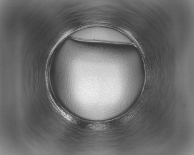 X0000054391235200508270025