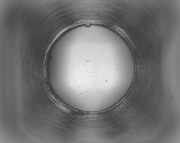 X0000054391236200508270025