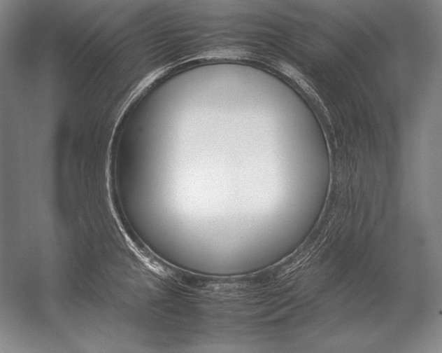 X0000054391237200508270025