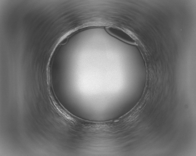 X0000054391238200508270025