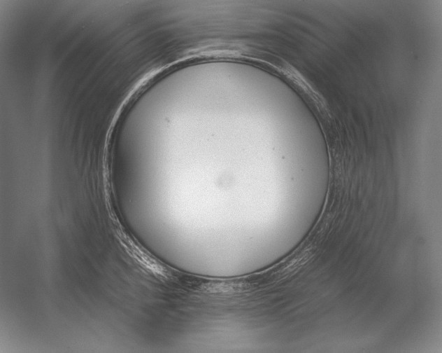 X0000054391240200508270025