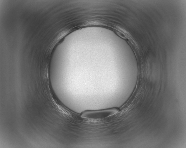 X0000054391241200508270025