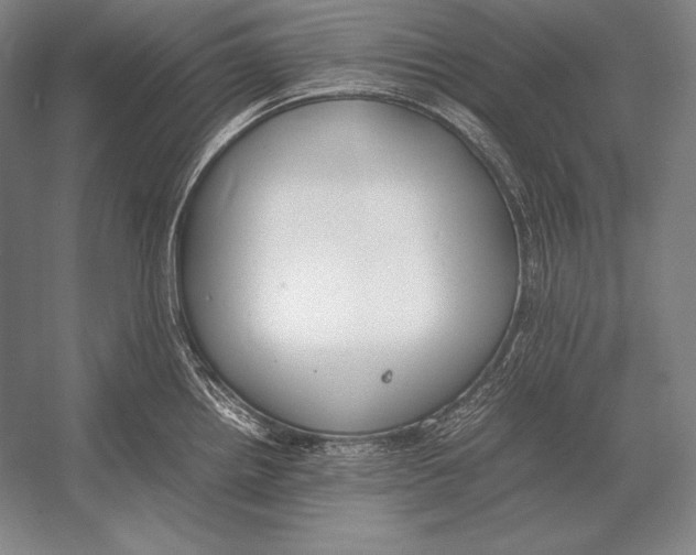 X0000054391242200508270025