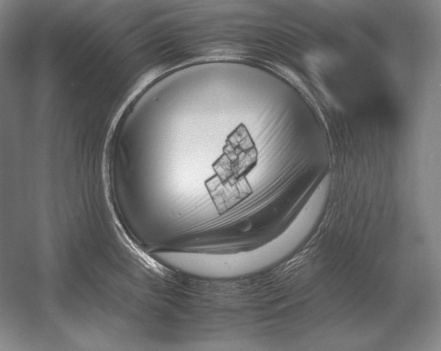 X0000054391243200508270025