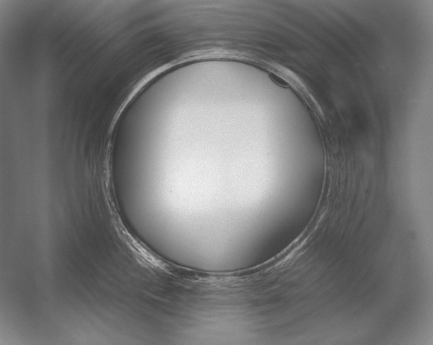 X0000054391244200508270025