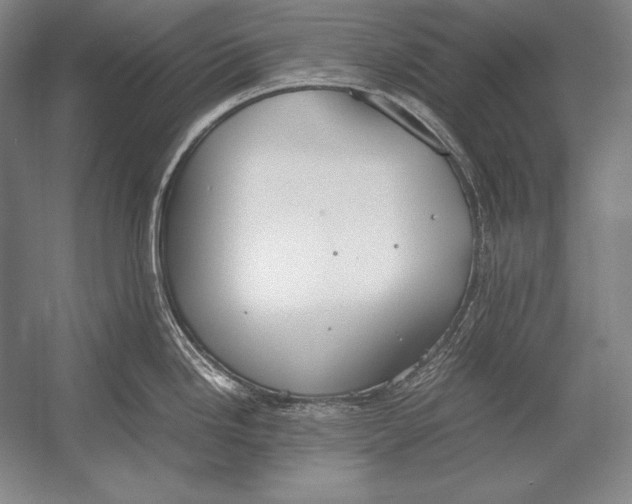 X0000054391246200508270025