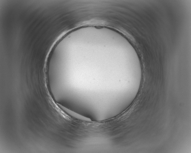 X0000054391248200508270025