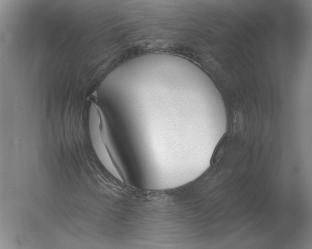 X0000054391250200508270025