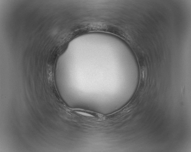 X0000054391251200508270025