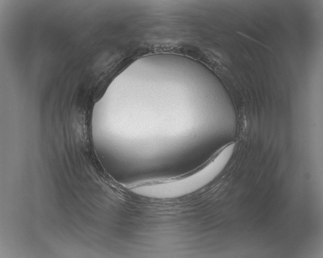 X0000054391252200508270025
