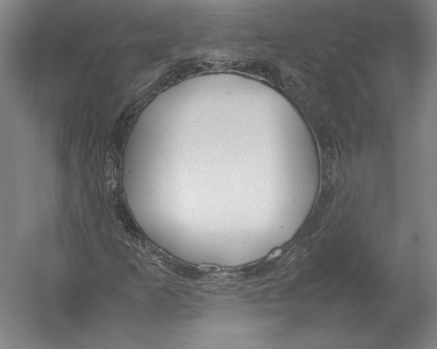 X0000054391253200508270025