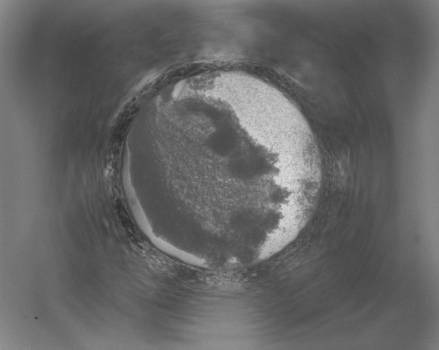 X0000054391254200508270025