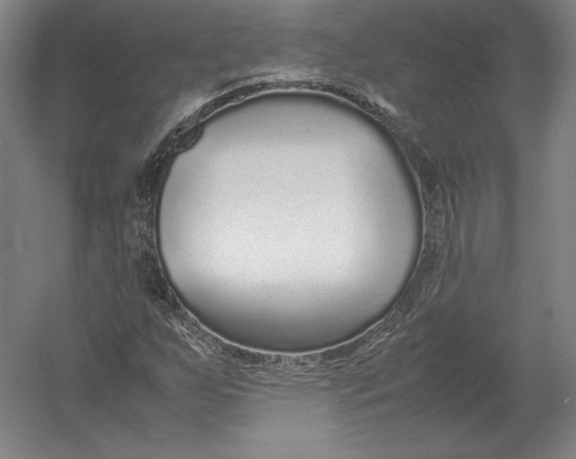 X0000054391255200508270025