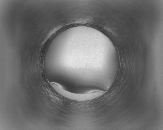 X0000054391256200508270024
