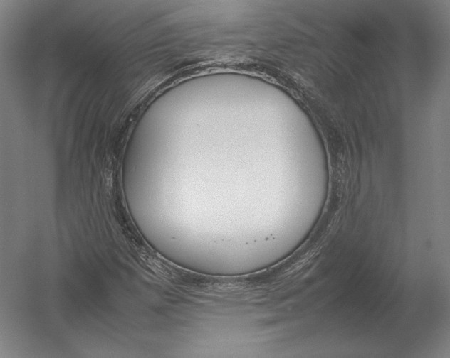 X0000054391257200508270024