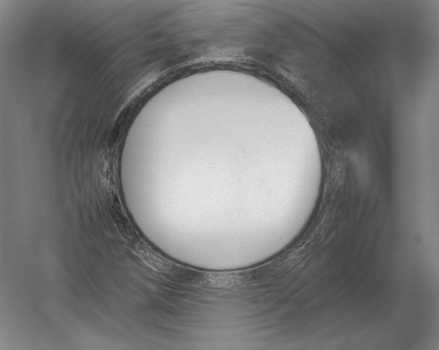 X0000054391258200508270024