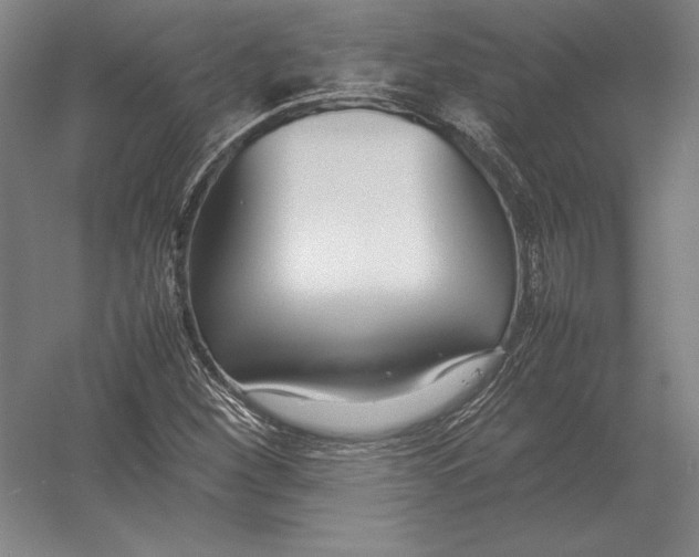 X0000054391260200508270024
