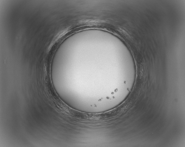 X0000054391261200508270024