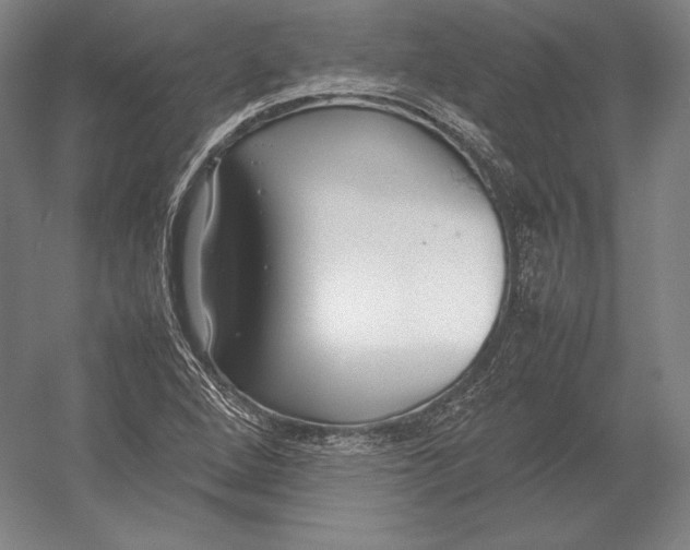 X0000054391264200508270024