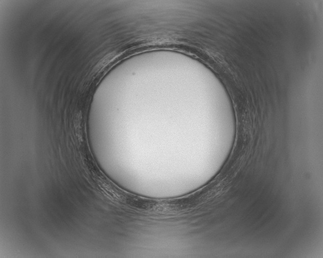 X0000054391265200508270024