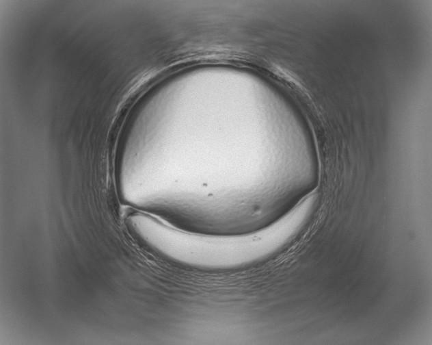 X0000054391267200508270024