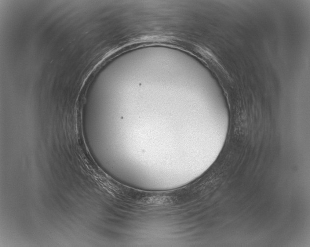 X0000054391268200508270024