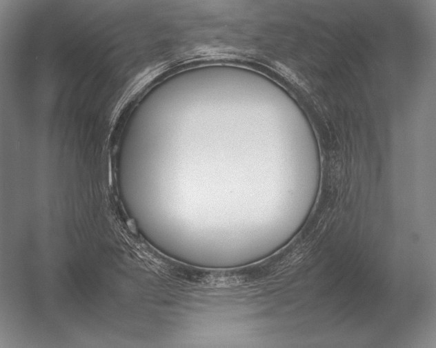 X0000054391269200508270024