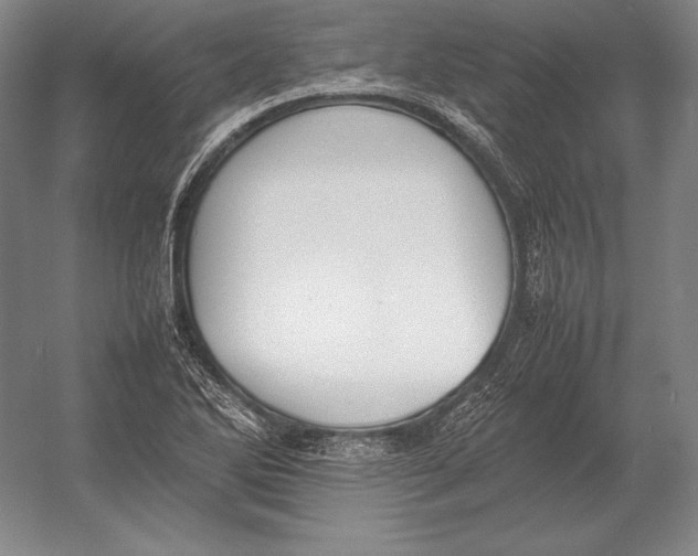 X0000054391270200508270024